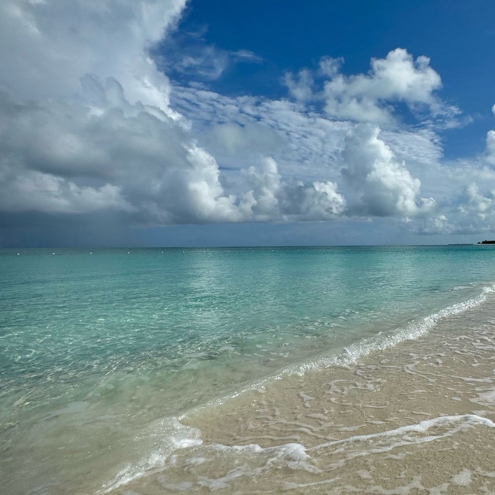 Meet your Posher, Sandhya